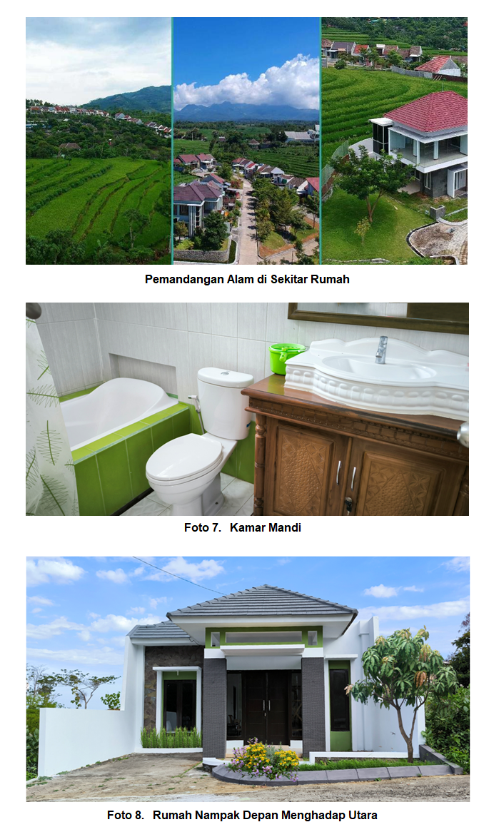 Taman Belakang
